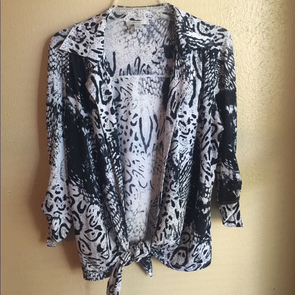 Beautiful dress blouse